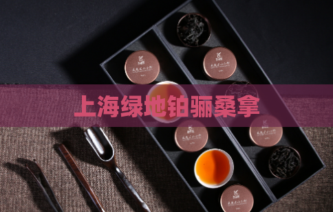 上海绿地铂骊桑拿 第1张 上海绿地铂骊桑拿 第1张