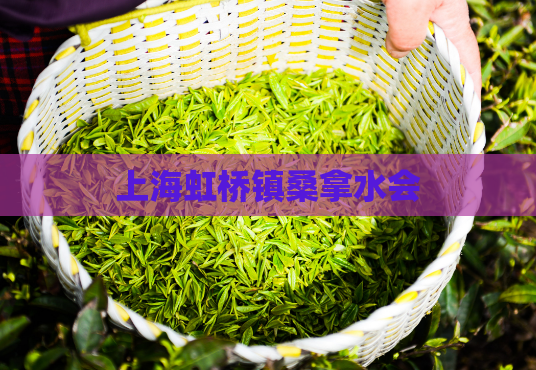 上海虹桥镇桑拿水会 第1张 上海虹桥镇桑拿水会 第1张