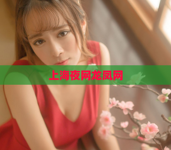 上海夜网龙凤网 第1张 上海夜网龙凤网 第1张