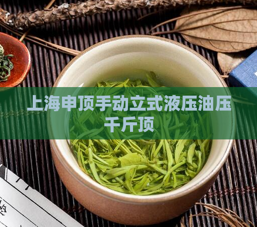 上海申顶手动立式液压油压千斤顶 第1张 上海申顶手动立式液压油压千斤顶 第1张