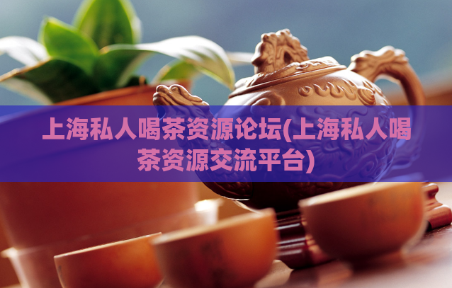 上海私人喝茶资源论坛(上海私人喝茶资源交流平台) 第1张 上海私人喝茶资源论坛(上海私人喝茶资源交流平台) 第1张