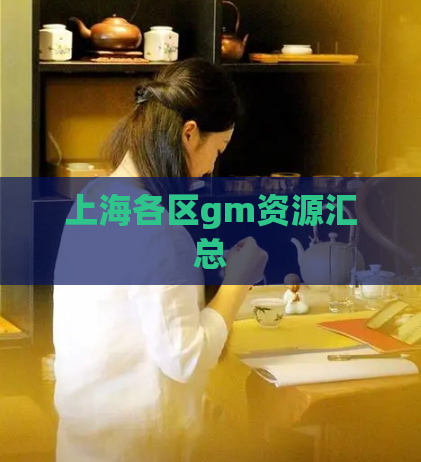 上海各区gm资源汇总  第1张