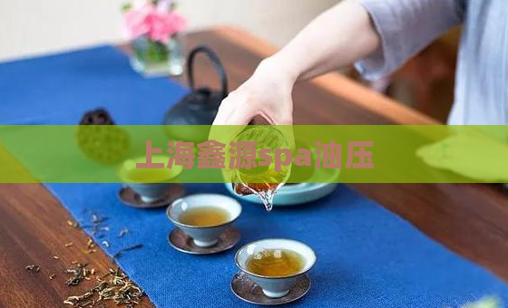 上海鑫源spa油压  第1张