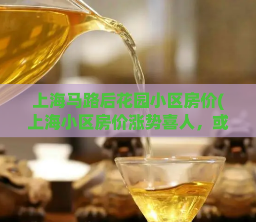 上海马路后花园小区房价(上海小区房价涨势喜人，或许预示城市后花园的价值日益凸显)  第1张