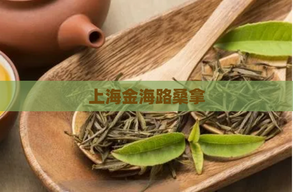 上海金海路桑拿  第1张 上海金海路桑拿  第1张