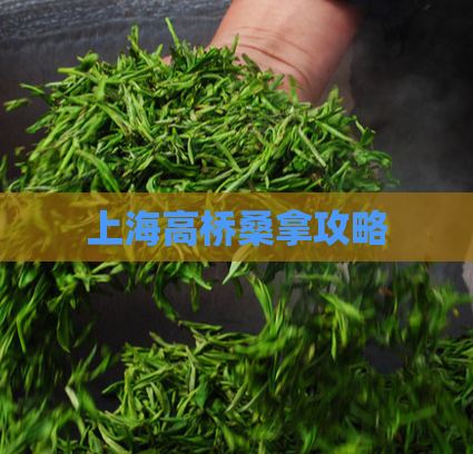 上海高桥桑拿攻略  第1张