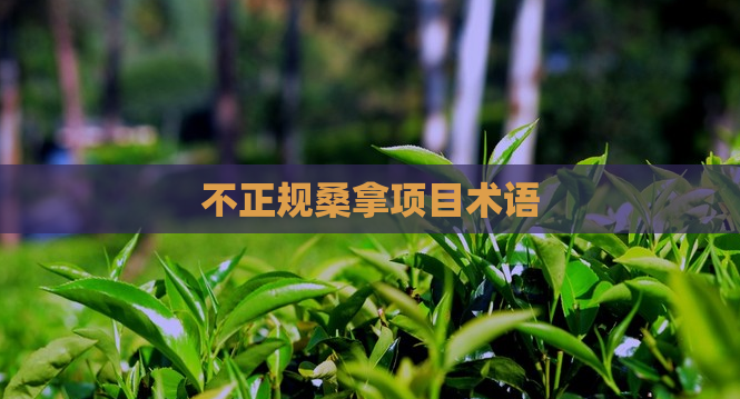 不正规桑拿项目术语  第1张 不正规桑拿项目术语  第1张