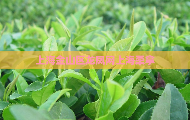 上海金山区龙凤网上海桑拿  第1张 上海金山区龙凤网上海桑拿  第1张