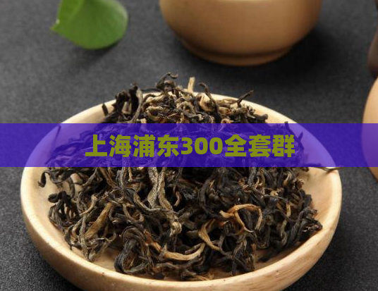 上海浦东300全套群  第1张 上海浦东300全套群  第1张