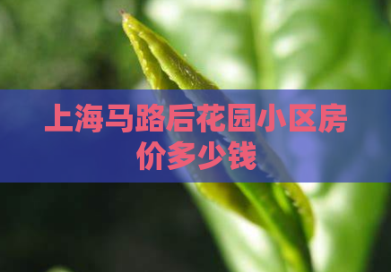 上海马路后花园小区房价多少钱  第1张 上海马路后花园小区房价多少钱  第1张