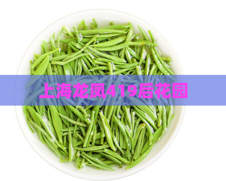 上海龙凤419后花园  第1张 上海龙凤419后花园  第1张