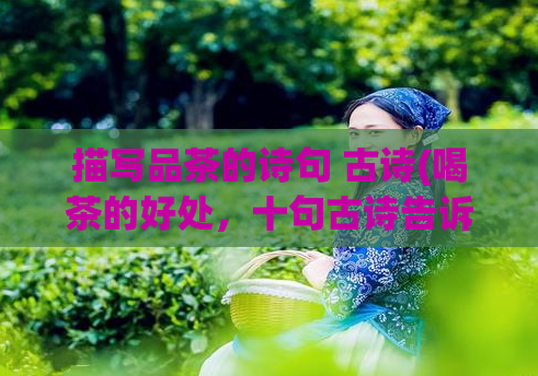 描写品茶的诗句 古诗(喝茶的好处，十句古诗告诉你！品茶诗意，探寻自然之味！)  第1张