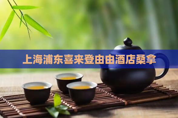 上海浦东喜来登由由酒店桑拿 第1张 上海浦东喜来登由由酒店桑拿 第1张