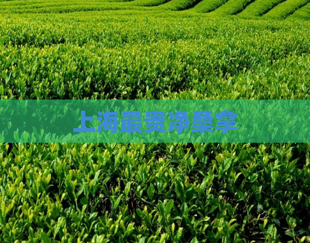 上海最贵净桑拿 第1张 上海最贵净桑拿 第1张