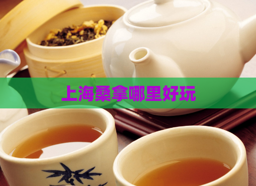 上海桑拿哪里好玩 第1张 上海桑拿哪里好玩 第1张