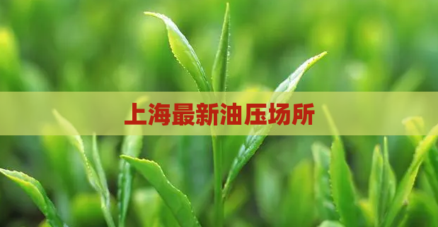 上海最新油压场所 第1张 上海最新油压场所 第1张