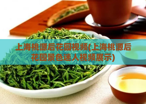 上海桃源后花园视频(上海桃源后花园景色迷人视频展示) 第1张 上海桃源后花园视频(上海桃源后花园景色迷人视频展示) 第1张