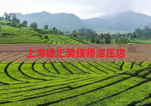上海徐汇男技师油压店 第1张 上海徐汇男技师油压店 第1张
