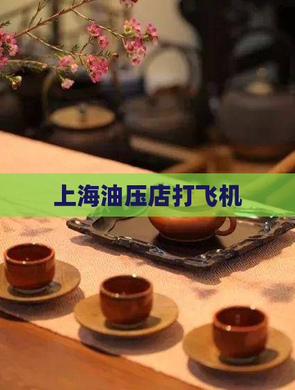 上海油压店打飞机 第1张 上海油压店打飞机 第1张