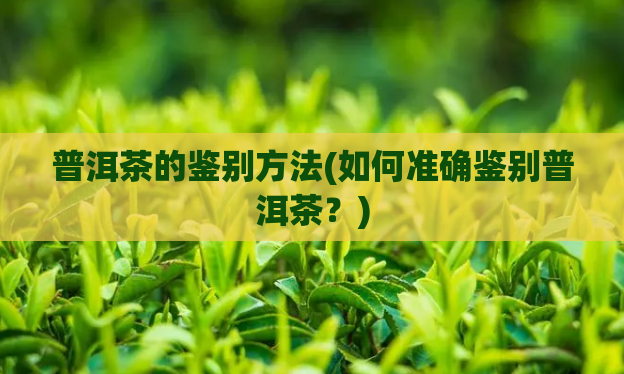 普洱茶的鉴别方法(如何准确鉴别普洱茶？)  第1张