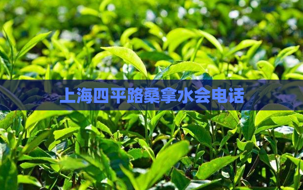 上海四平路桑拿水会电话 第1张 上海四平路桑拿水会电话 第1张