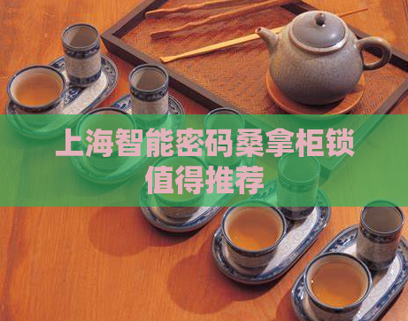 上海智能密码桑拿柜锁值得推荐 第1张 上海智能密码桑拿柜锁值得推荐 第1张