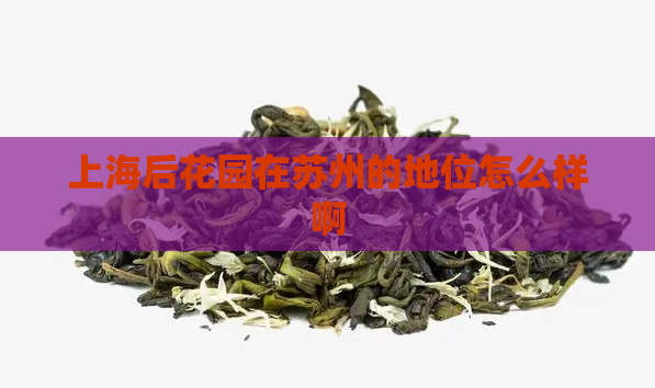 上海后花园在苏州的地位怎么样啊 第1张 上海后花园在苏州的地位怎么样啊 第1张