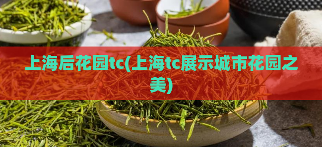 上海后花园tc(上海tc展示城市花园之美) 第1张 上海后花园tc(上海tc展示城市花园之美) 第1张