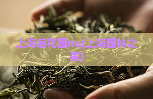 上海后花园nu(上海园林之美) 第1张 上海后花园nu(上海园林之美) 第1张