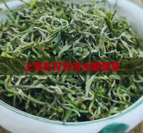 上海东方沐浴水磨桑拿 第1张 上海东方沐浴水磨桑拿 第1张