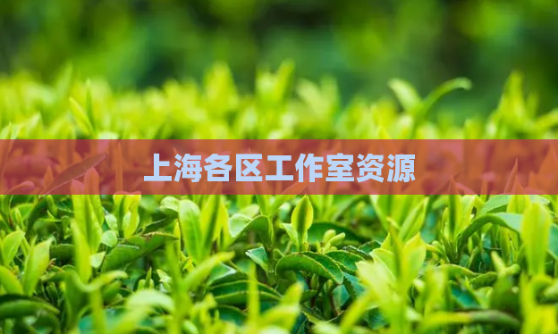 上海各区工作室资源 第1张 上海各区工作室资源 第1张
