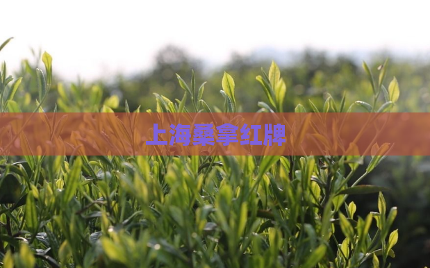 上海桑拿红牌 第1张 上海桑拿红牌 第1张