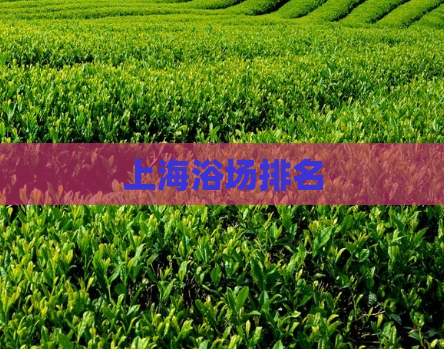 上海浴场排名 第1张 上海浴场排名 第1张