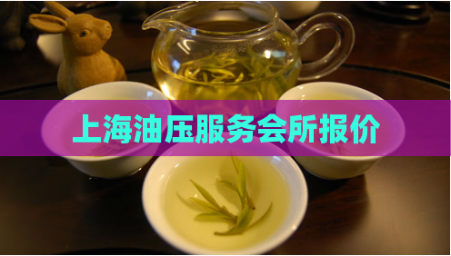 上海油压服务会所报价 第1张 上海油压服务会所报价 第1张