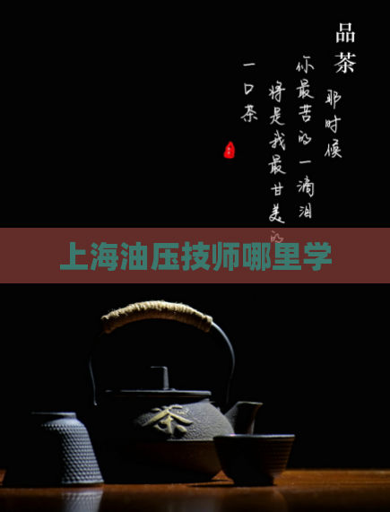 上海油压技师哪里学 第1张 上海油压技师哪里学 第1张