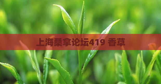 上海桑拿论坛419 香草 第1张 上海桑拿论坛419 香草 第1张
