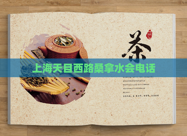 上海天目西路桑拿水会电话 第1张 上海天目西路桑拿水会电话 第1张