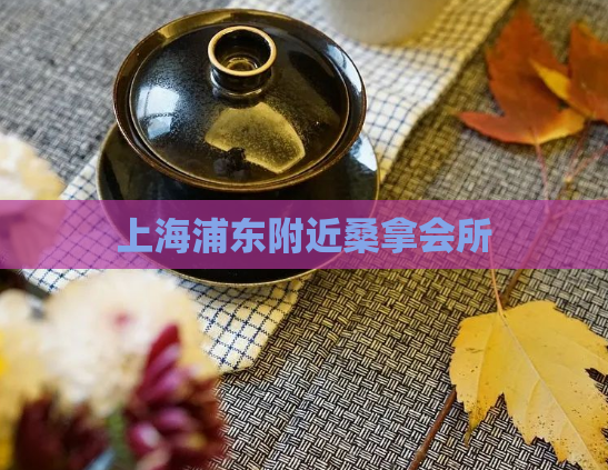 上海浦东附近桑拿会所 第1张 上海浦东附近桑拿会所 第1张