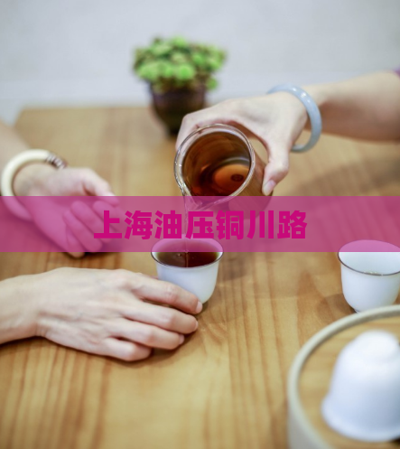上海油压铜川路  第1张