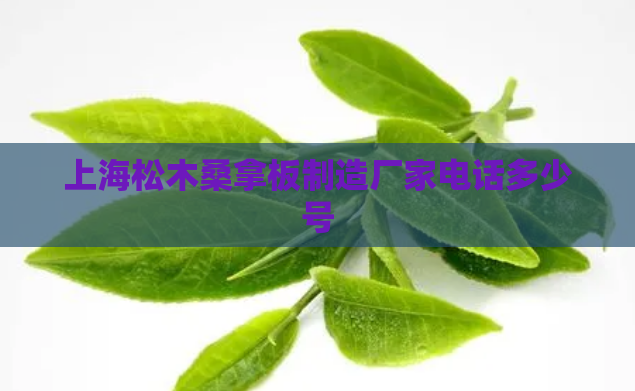 上海松木桑拿板制造厂家电话多少号 第1张 上海松木桑拿板制造厂家电话多少号 第1张