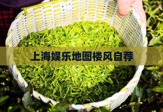 上海娱乐地图楼风自荐 第1张 上海娱乐地图楼风自荐 第1张