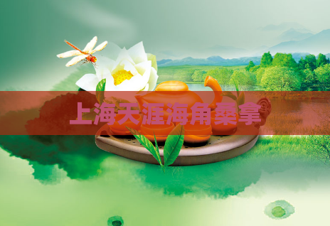 上海天涯海角桑拿 第1张 上海天涯海角桑拿 第1张