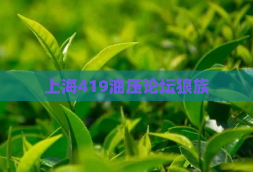 上海419油压论坛狼族 第1张 上海419油压论坛狼族 第1张