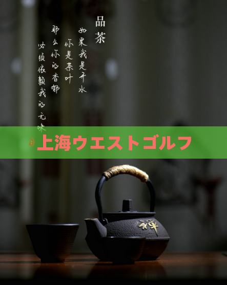 上海ウエストゴルフ 第1张 上海ウエストゴルフ 第1张