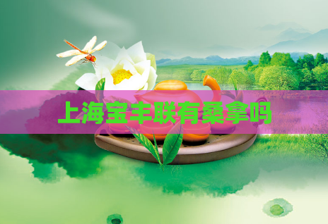 上海宝丰联有桑拿吗 第1张 上海宝丰联有桑拿吗 第1张