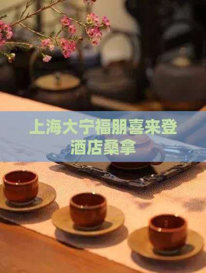 上海大宁福朋喜来登酒店桑拿 第1张 上海大宁福朋喜来登酒店桑拿 第1张