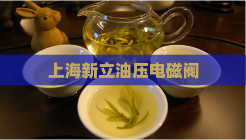 上海新立油压电磁阀 第1张 上海新立油压电磁阀 第1张