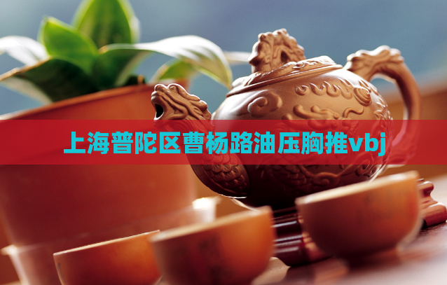 上海普陀区曹杨路油压胸推vbj 第1张 上海普陀区曹杨路油压胸推vbj 第1张