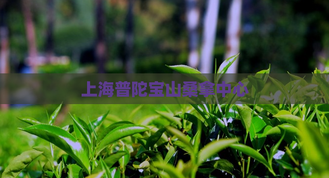 上海普陀宝山桑拿中心 第1张 上海普陀宝山桑拿中心 第1张