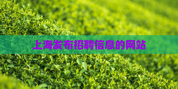 上海发布招聘信息的网站 第1张 上海发布招聘信息的网站 第1张